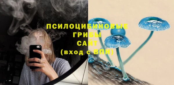 2c-b Строитель